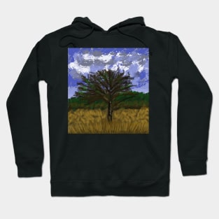 Arcadia Park, Fort Worth Texas Hoodie